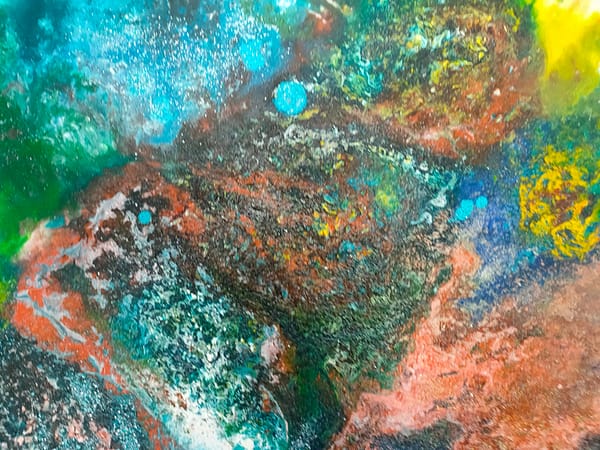 les poissons rouges details 1